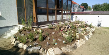 Maruli - Steingarten mit Jura-Blöcken